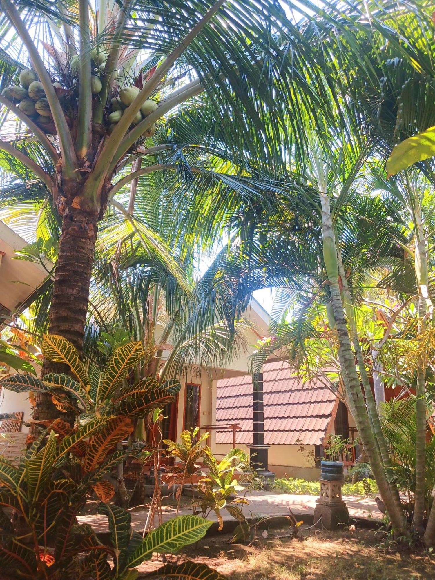 Hotel Florine'S Garden Gili Air Zewnętrze zdjęcie